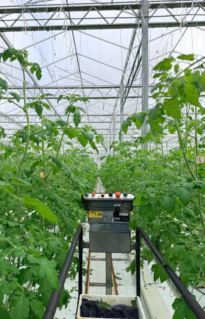 whatsapp image 2026 02 16 at 14.15.46 (2)