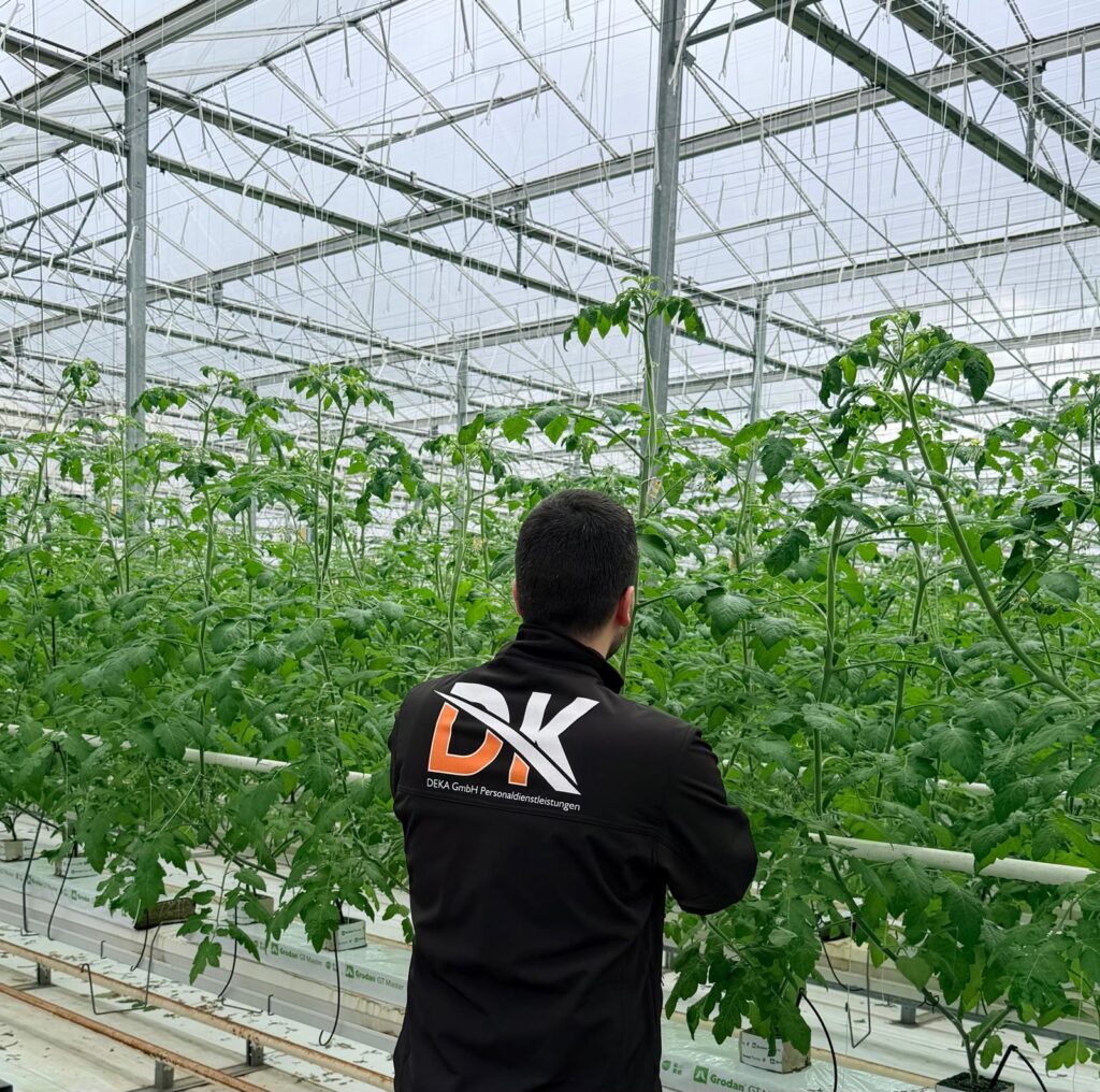 whatsapp image 2026 02 16 at 14.15.47 (3)